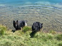 Shani und Gitan